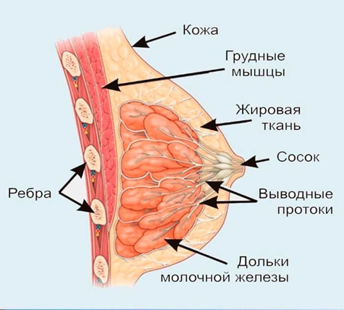 Що робити з обвислими грудьми після пологів: як підтягнути